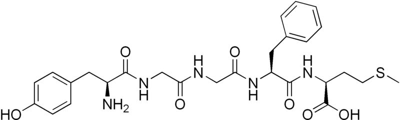 File:Met-enkephalin.png