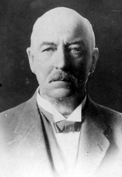 File:Narutowicz.png