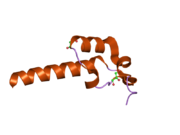 2f60: Crystal Structure of the Dihydrolipoamide Dehydrogenase (E3)-Binding Domain of Human E3-Binding Protein