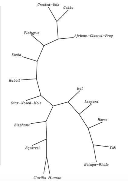 File:Phylogenetic tree100.png