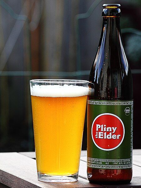 File:Pliny the Elder.jpg