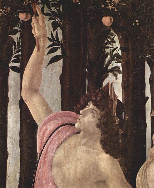 File:Sandro Botticelli 041.jpg