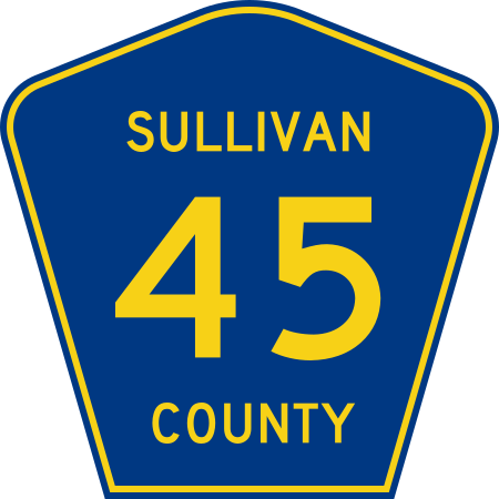 File:Sullivan County 45.svg