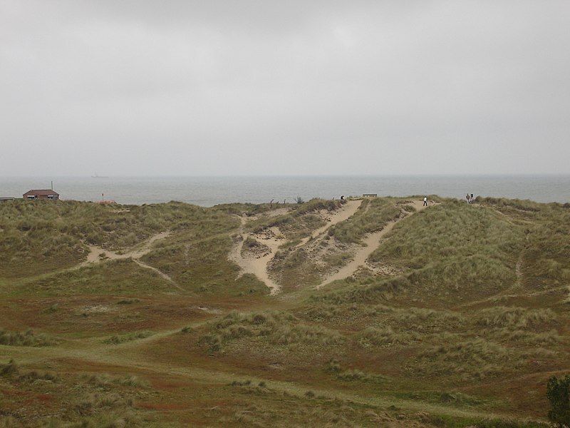 File:Winterton Dunes DSC00508.jpg