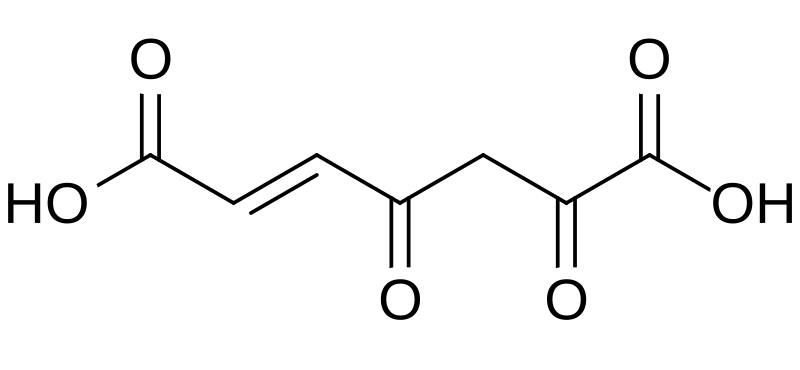 File:3-Fumarylpyruvic acid.svg