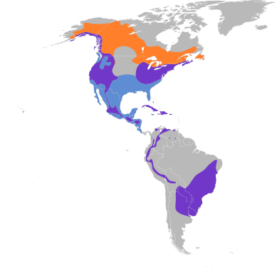 File:Accipiter striatus map.svg