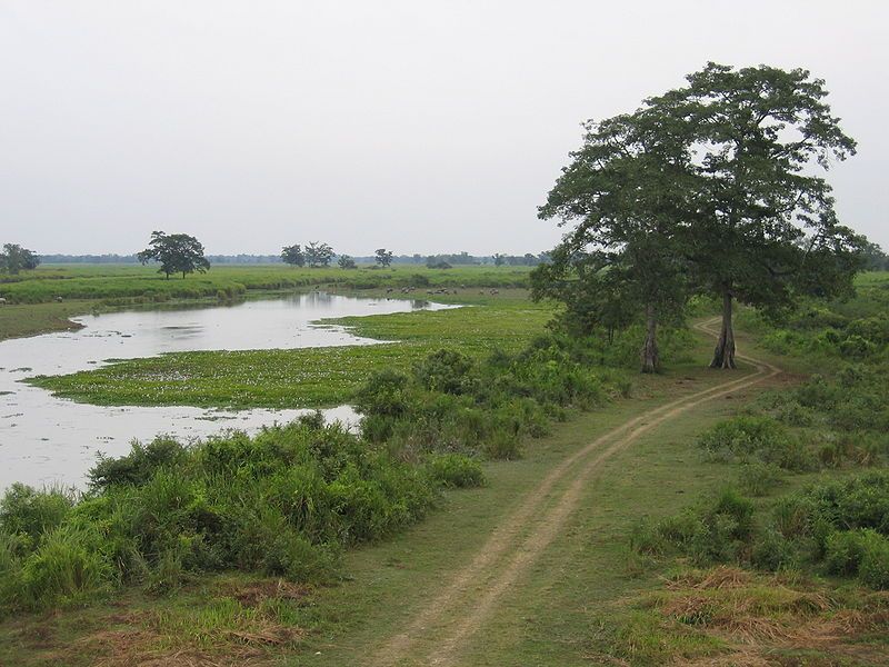 File:Assam 042.jpg