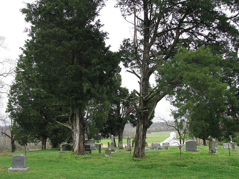 File:Bakerville Tennessee Cemetery.jpg