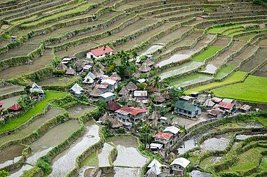 Rice Terraces of the Philippine Cordilleras