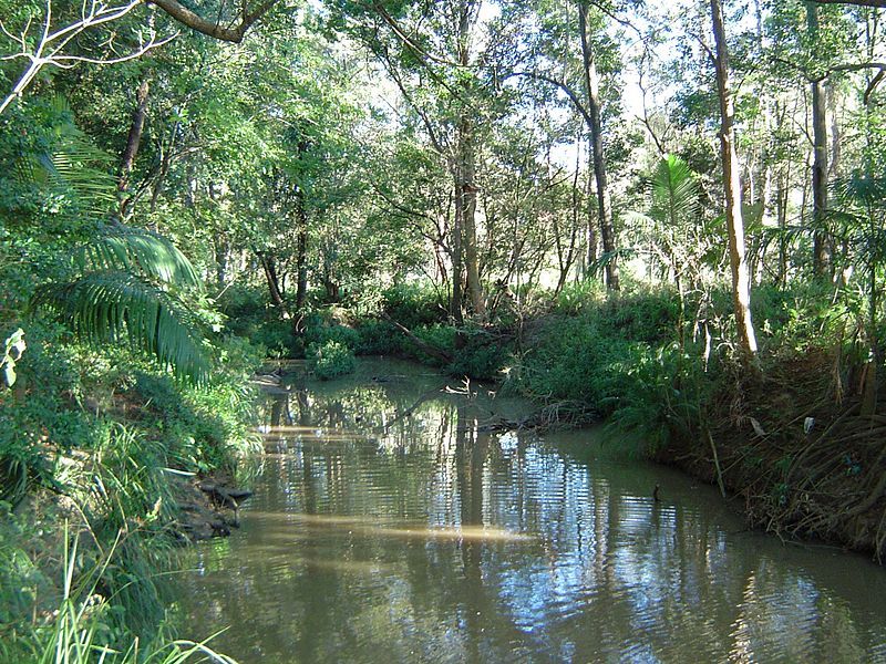 File:Bulimba Creek Mansfield.jpg