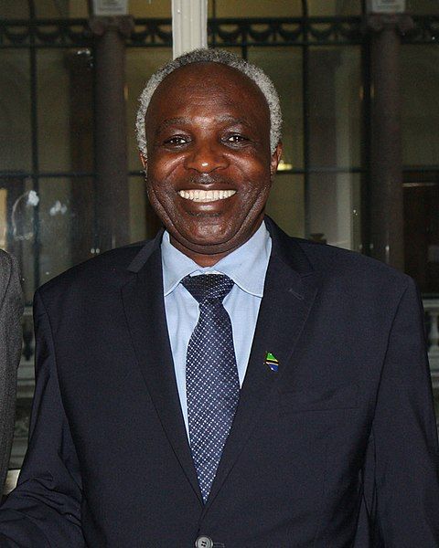 File:Christopher Chiza 2.jpg