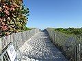 Beach access in Ocean Drive