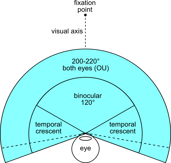 File:FOV both eyes.svg