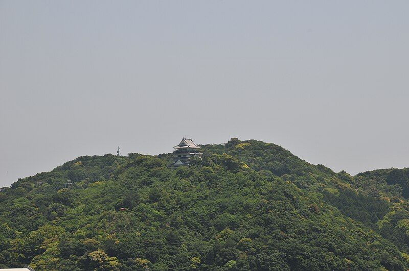 File:Hiwasa castle.JPG