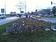 Placards planted in flower beds after Hrant Dink's funeral.