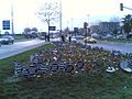 Placards planted in flower beds after Hrant Dink's funeral.