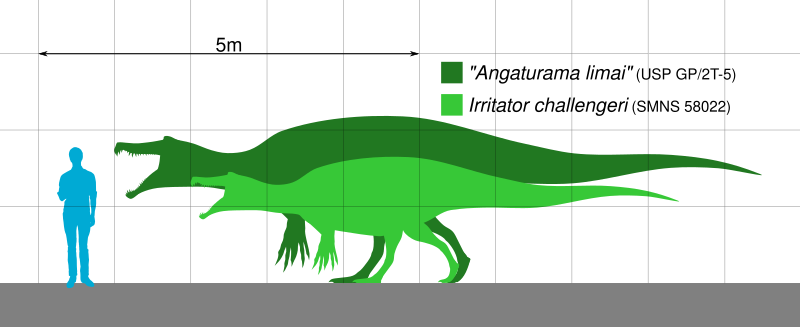 File:Irritator Scale.svg