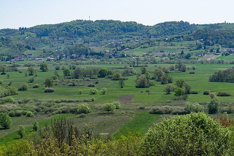 File:Jovsi (33781337068).jpg