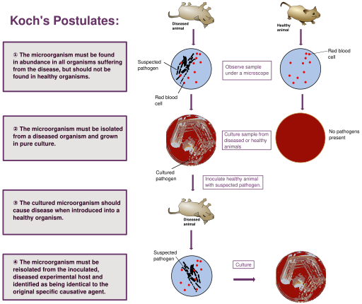 File:Koch's Postulates.svg