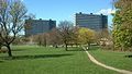 Langenæsparken. Modernist high-rises situated in a large public park.