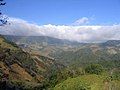 Monteverde Cloud forest