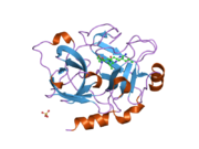 1zpb: Crystal Structure of the Catalytic Domain of Coagulation Factor XI in Complex with 4-Methyl-pentanoic acid {1-[4-guanidino-1-(thiazole-2-carbonyl)-butylcarbamoyl]-2-methyl-propyl}-amide