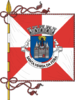 Flag of Santa Maria da Feira