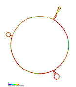 STnc150 Hfq binding RNA: Predicted secondary structure taken from the Rfam database. Family RF01402.