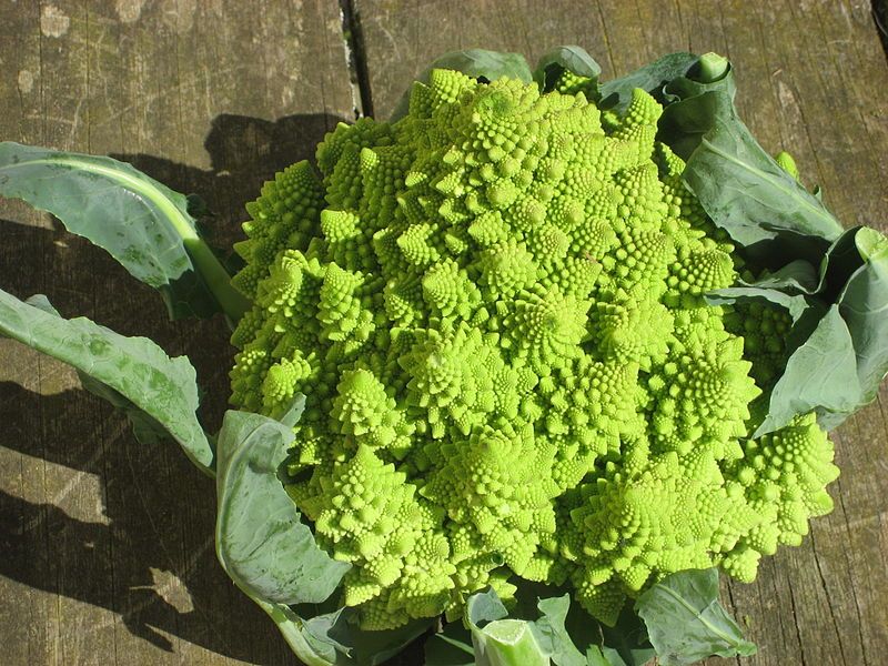 File:Romanesco in Europe.jpg