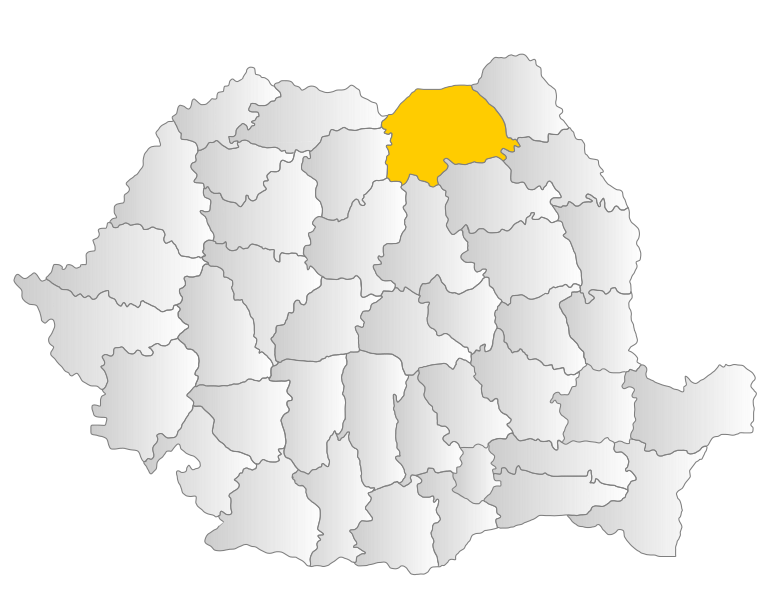 File:Suceava.svg