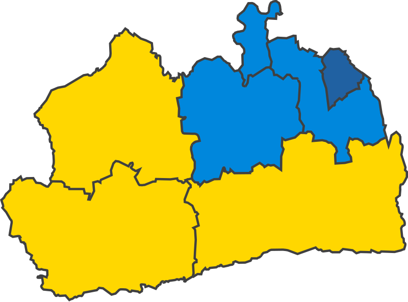 File:SurreyParliamentaryConstituency1906Results.svg