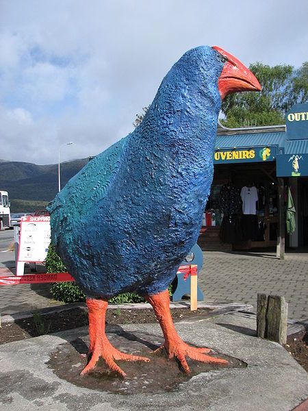 File:Takahe Te Anau.jpg