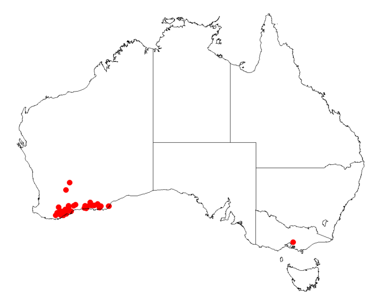 File:Acacia maxwelliiDistMap580.png