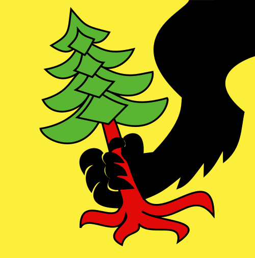 File:CHE Rüschegg Flag.svg