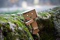 Danbo climbing.