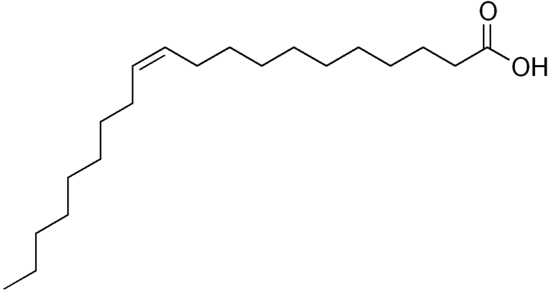 File:Eicosenoic acid.png