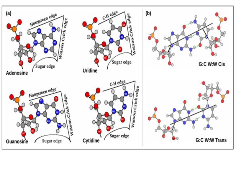 File:Figure4New.png