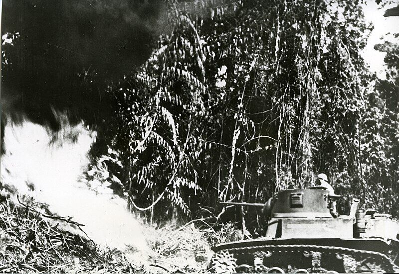 File:Flame-throwing-tank-bouganville-RG-208-AA-158-L-001.jpg