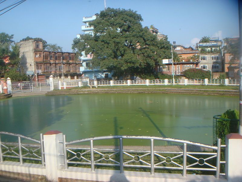 File:Gahana Pokhari Hadigaon.JPG