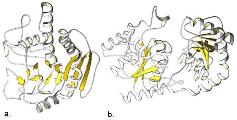 File:Glycosyltransferase Folds.png