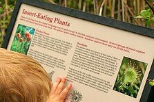 Sign at Lake Bemidji State Park describing the carnivorous plants located there.