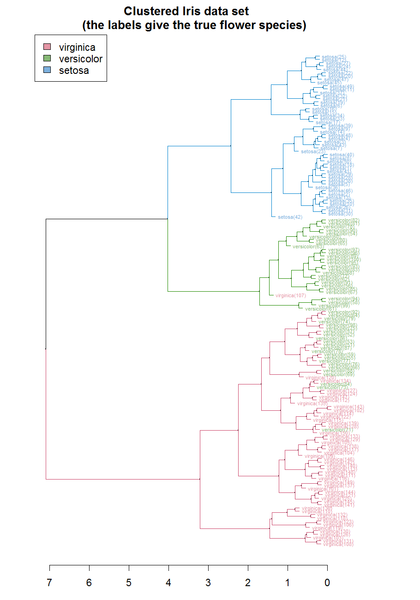 File:Iris dendrogram.png