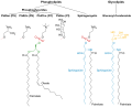 Membrane lipids