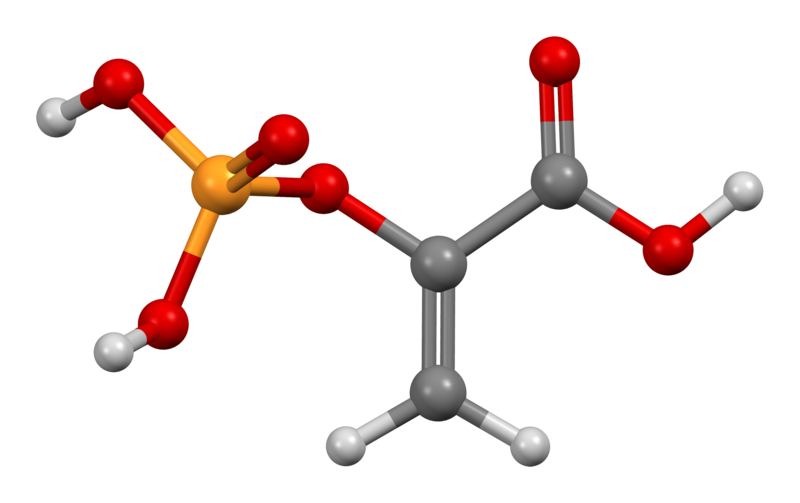 File:Phosphoenolpyruvic-acid-from-xtal-3D-bs-17.png