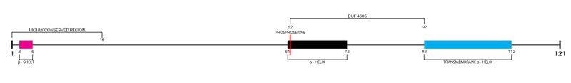 File:Protein Image.pdf