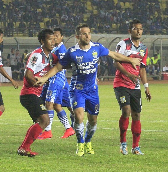 File:Spasojevic Persib 2015.jpg