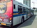 Articulated bus at the University of British Columbia bus loop. (The model is New Flyer D60LF.)