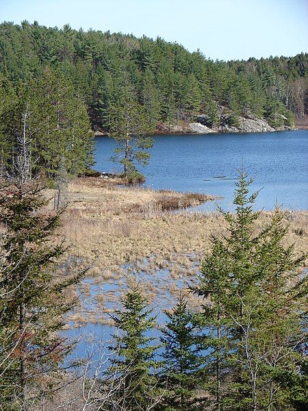 File:Canadian Shield Ontario.jpg