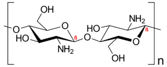 Structure of completely deacetylated chitosan