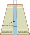 Diagram of cricket pitch